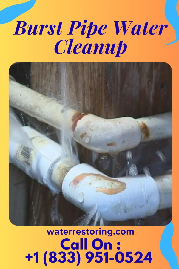 Burst Pipe Water Cleanup in Lenhartsville, PA