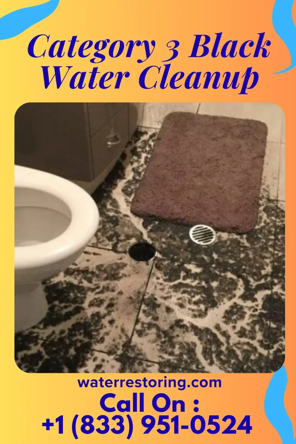 Category 3 Black Water Cleanup in Lenhartsville, PA