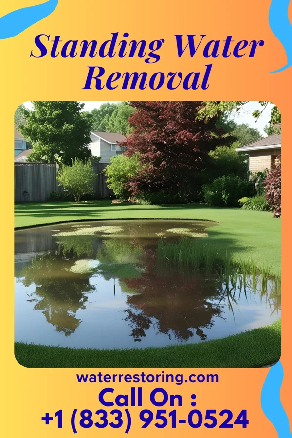 Standing Water Removal in Lenhartsville, PA